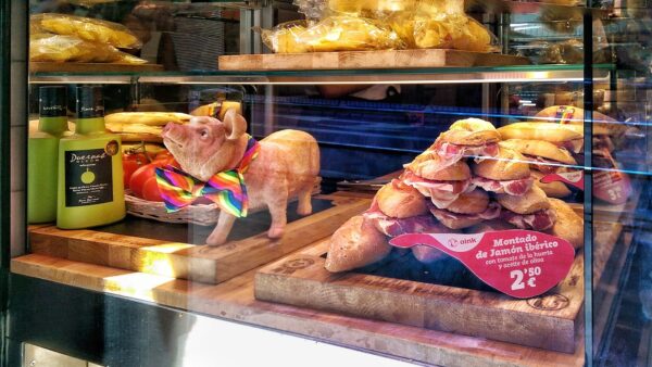 Spain Travel Tips - Bocadillos Oink Specializes in Making Ham And Cheese Rolls