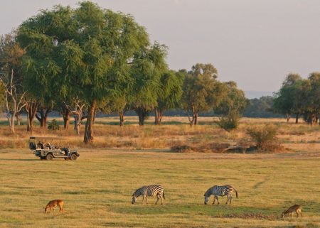 Adventure Travel - South Luangwa National Park in Zambia is Best to See the Luangwa River