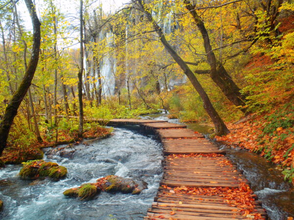 Most Beautiful National Parks in Europe - Plitvice Lakes National Park is Where You Can Enjoy Hiking And Swimming