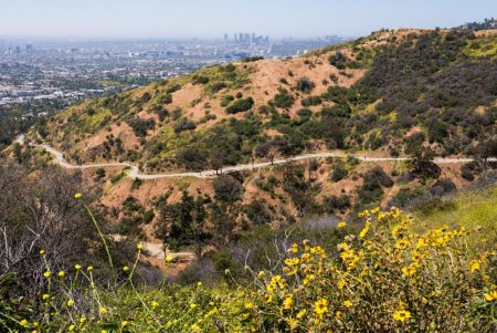 7 Best Attractions in Los Angeles - Runyon Canyon Park is Famous For Hiking
