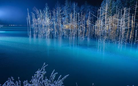 Winter in Japan - Blue Pond Hokkaido is Located in Town of Biei And is A Man-Made Pond To Protect 