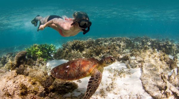 Top Locations for Snorkeling in Australia - Ningaloo Reef is Aa UNESCO World Heritage Site