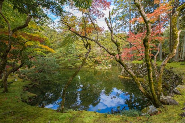 Travel Guide Japan - Saiho-ji Temple is Famous As The Moss Temple And Has 3 Tea Houses