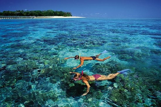 Top Locations for Snorkeling in Australia