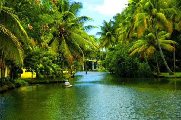 Top States in India for Traveling - Kerala is Known As The God’s Own Country