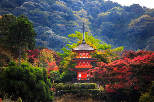 Asia Travel Guide - Kyoto Was Capital of The Japanese Empire 1000 Years Ago