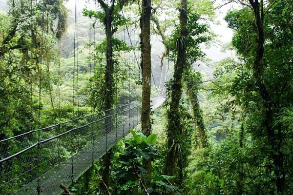 Natural Attractions in Costa Rica - Monteverde is A Small Habitat Located in Puntarenas