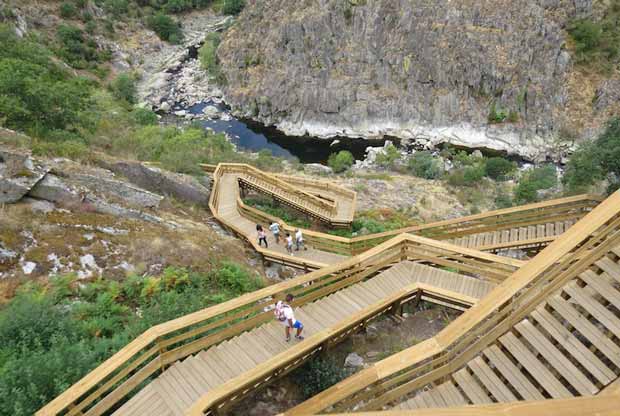 Best Tourist Attractions in Northern Portugal - Paiva Walkways (Passadiços do Paiva Trailhead) is Good to See The Wildlife