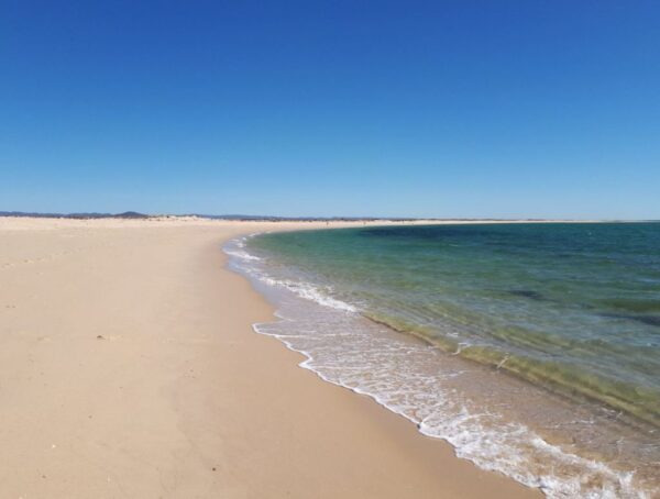 Top 10 Beaches And Islands in Portugal - Ilha de Armona is Very Popular With Tourists