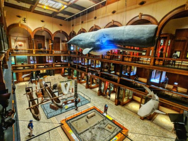 Travel Guide Hawaii - Bishop Museum A Cultural And Historical Place