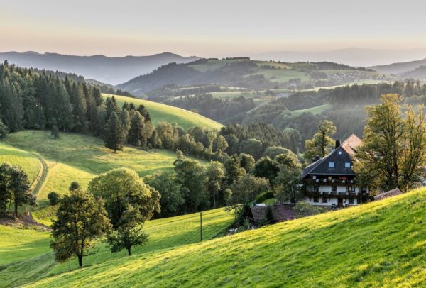 What to Do in Germany - Black Forest The Most Visited Sight in Germany