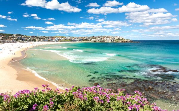 What to Do in Australia - Bondi Beach Top Surfing Spot For Tourists 