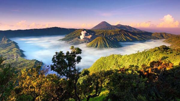 What to Do in Indonesia - National Parks to Visit For Visitors