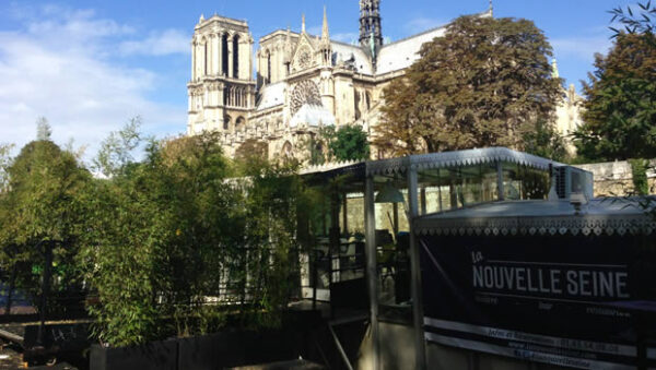 France Travel Guide - La Nouvelle Seine Overlooks The Unique Architecture of Notre Dame Cathedral