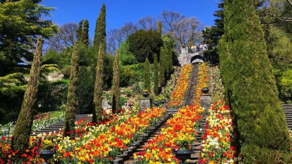 What to Do in Germany - Mainau A Town With Beautiful Gardens and Parks