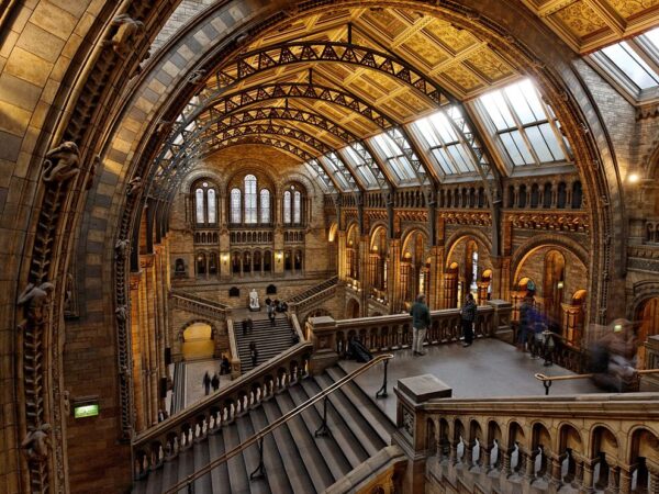Natural History Museum in London For Charles Darwin Work - What to Do in UK