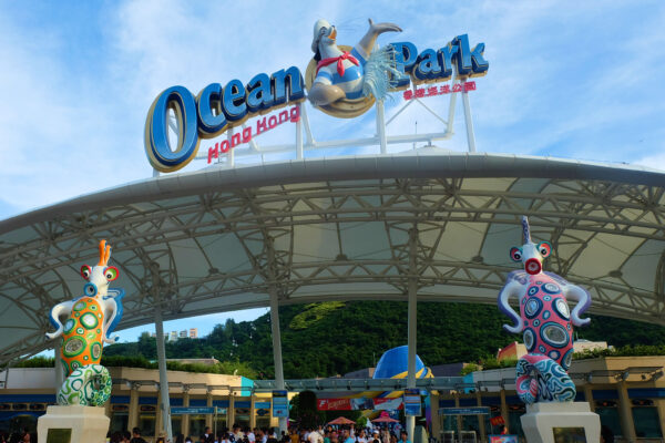 What to Do in Hong Kong - Ocean Park With A Zoo For Children