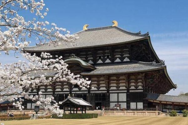 Tōdai-ji Temple is Surrounded by Beautiful Gardens And Wildlife - Japan's Most Spectacular Tourist Destinations