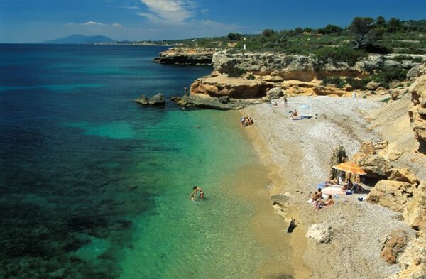 The Best Places in Ibiza to Visit - Cala Llenya A Place With Lush Pine Trees