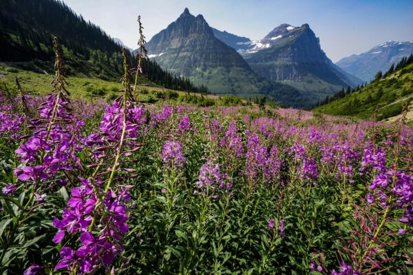 What To Do in USA - Glacier National Park With A Beautiful River