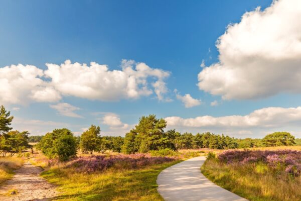 What to Do in Netherlands - Hoge Veluwe National Park A Tourist Destination For Hiking And Cycling
