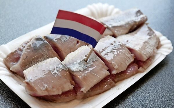 Tourist Attractions - Hollandse Nieuwe Haring A Traditional Raw Herring Dish