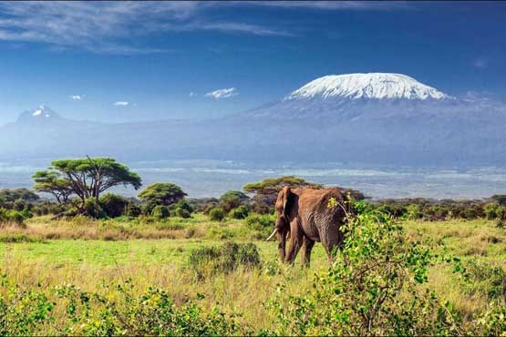 Most Amazing Volcanoes in The World - Kilimanjaro With Famous Uhuru Peak
