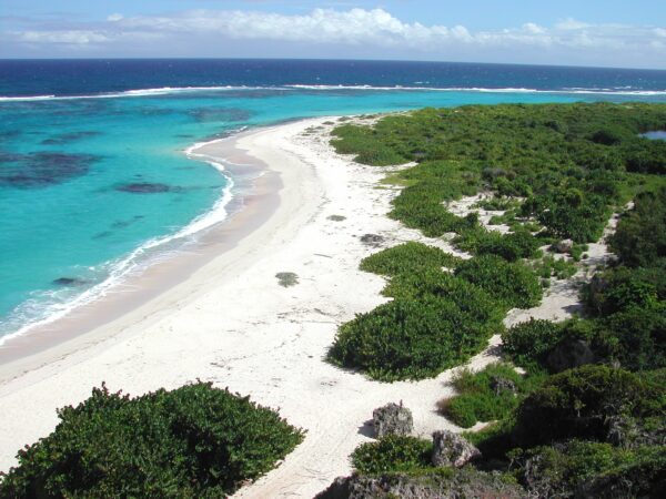 Island Buck List - Barbuda A Beautiful Place With its Own Wild Life And Vegetation