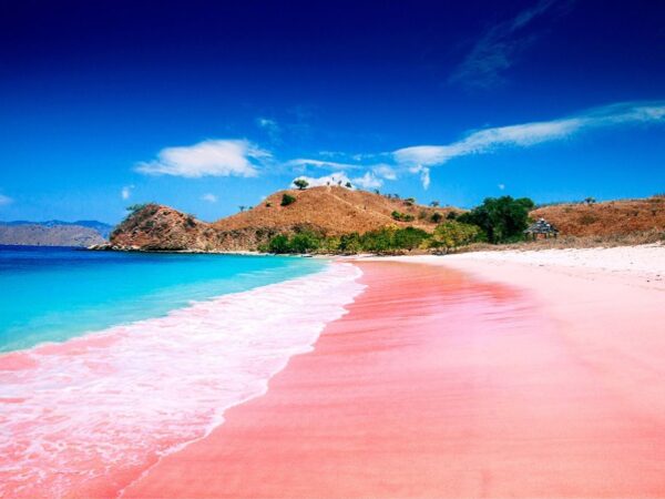 Most Spectacular Pink Beaches in The World - Pink Beach (Pantai Merah) Known As Dragon Beach