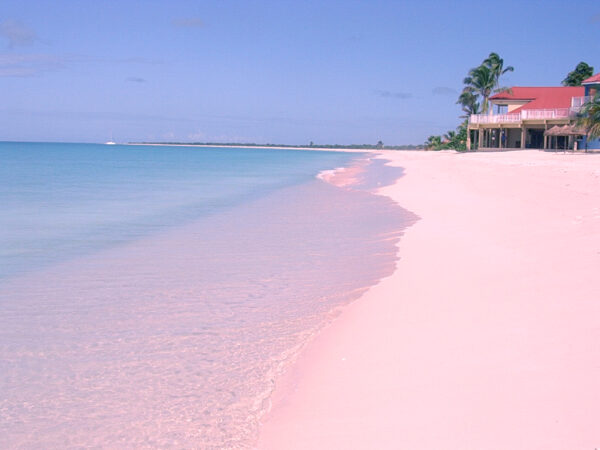Most Spectacular Pink Beaches in The World - Pink Sands Beach With Miniature Shape Features