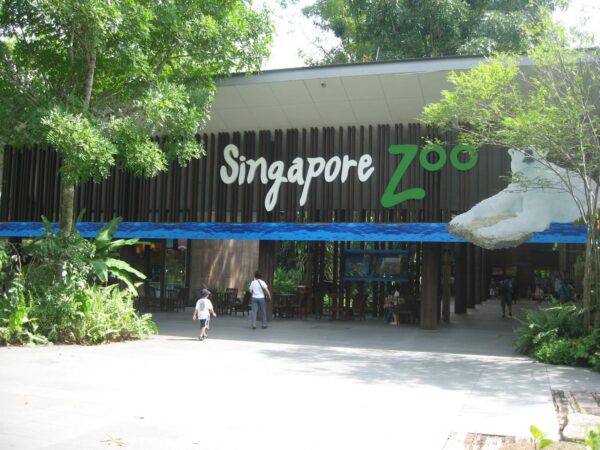 Singapore Tourist Attractions Guide - Singapore Zoo Has Night Ride And Jurong Bird Park