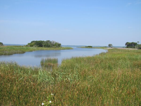 Back Bay National Wildlife Refuge Has Over 9000 Acres of Area - Things to Do in Virginia Beach, USA