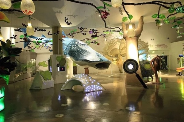 The Mind Museum in Taguig is an interactive Museum Suitable for Children to Get to Know Art and Science