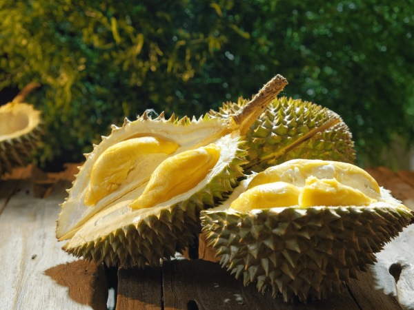 Food Singapore Gifts - Durian Dried Merchandise Only Suitable as Cookies