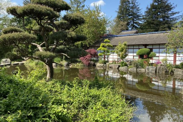 Japanese Garden in Ile de Versailles With Beautiful Bonsai and Japanese Style Flowers