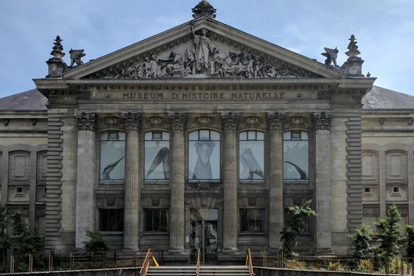 Natural History Museum is Located on Rue Voltaire with Unique Skeletons