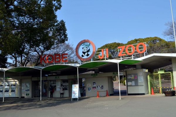 Kobe Ōji Zoo in Nada Ward to See pandas and Koalas - Beautiful Kobe Attractions