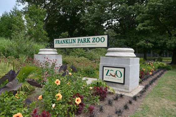 Franklin Park Zoo - The best zoo to visit in Boston