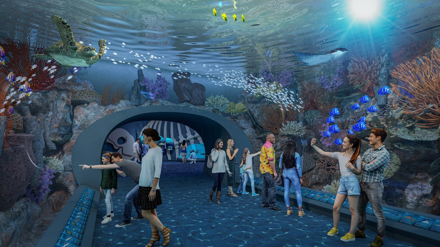 Shedd Aquarium - It is a historic home and an outdoor public aquarium in Chicago