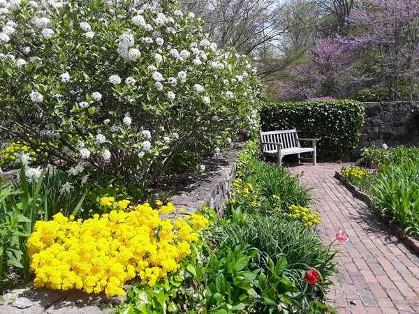 The Beautiful Cross Estate Gardens Located in Bernardsville in Somerset County - New Jersey Botanical Garden Wedding Ceremony