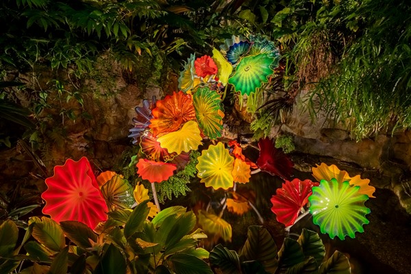 Top Botanical Gardens STL MO - Missouri Botanical Garden Chihuly and Garden Glow Events
