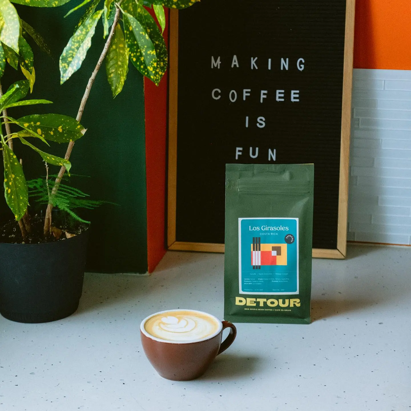 Detour Cafe Hamilton - A quaint local shop and a friendly neighborhood espresso bar