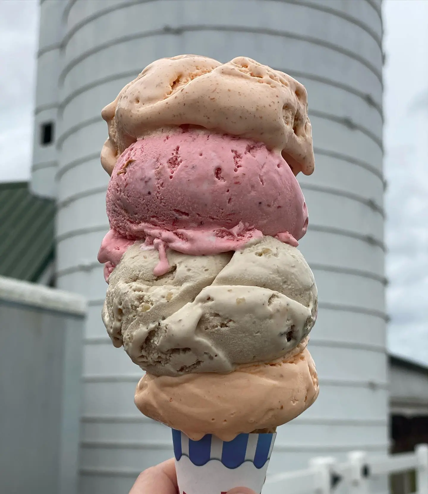 Hopkins Farm Creamery - An ice cream shop in a clean and beautiful farm with local ingredients 