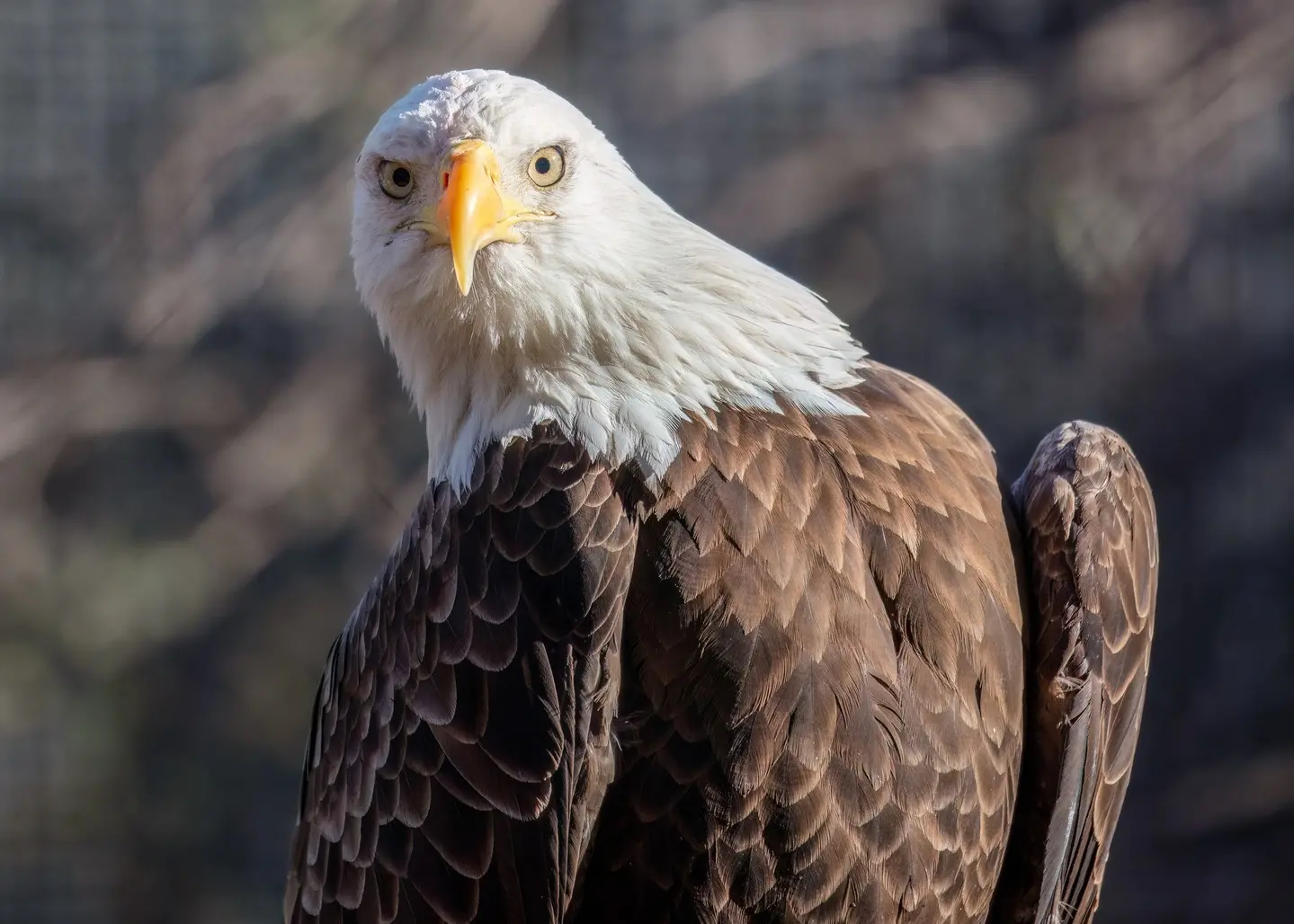 Phoenix Zoo in Papago Park - the largest privately owned zoo in Arizona. the United States